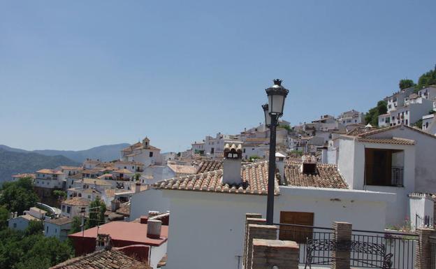 Foto de Ruta senderista a Benalauría en Benalauría, Málaga